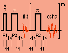 Carr-Purcell-Meiboom-Gill echo train