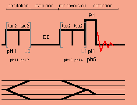 Double-quantum excitation with C14 pulse sequence