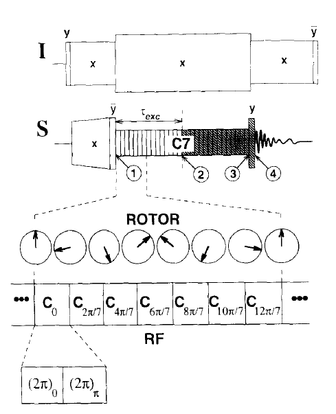 C7 pulse sequence