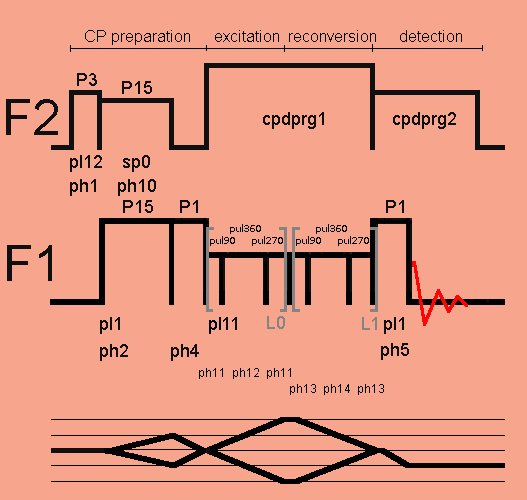 Double-quantum excitation with SPC5 CP pulse sequence