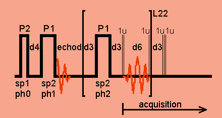 Carr-Purcell-Meiboom-Gill echo train