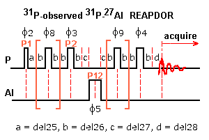 topspin3 REAPDOR pulse sequence