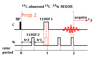 SIMPSON REDOR pulse sequence