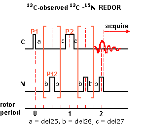 SIMPSON REDOR pulse sequence