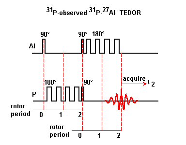 TEDOR pulse sequence