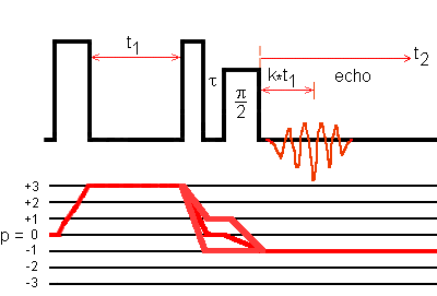 SPAM echo transfer pathways for a spin I = 5/2